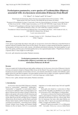 Neolasioptera Pantaneira, a New Species of Cecidomyiidae (Diptera) Associated with Aeschynomene Denticulata (Fabaceae) from Brazil V