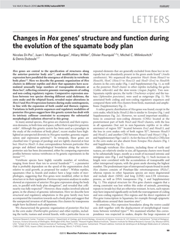 Changes in Hox Genes' Structure and Function During the Evolution of The