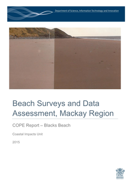 Beach Surveys and Data Assessment, Mackay Region