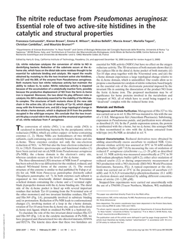 The Nitrite Reductase from Pseudomonas Aeruginosa: Essential Role of Two Active-Site Histidines in the Catalytic and Structural Properties