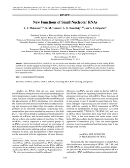 New Functions of Small Nucleolar Rnas