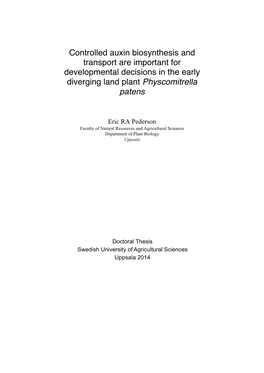 Controlled Auxin Biosynthesis and Transport Are Important for Developmental Decisions in the Early Diverging Land Plant Physcomitrella Patens