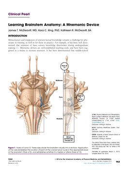 Learning Brainstem Anatomy: a Mnemonic Device