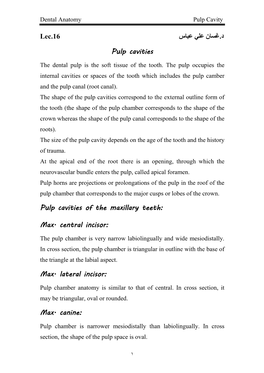 Pulp Cavities of the Maxillary Teeth