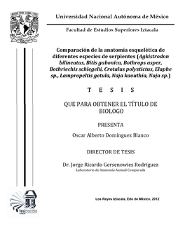 T E S I S Que Para Obtener El Título De Biologo