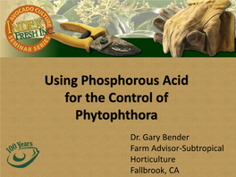 Using Phosphorous Acid for the Control of Phytophthora