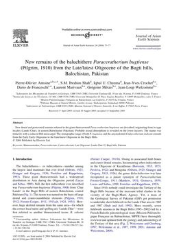 New Remains of the Baluchithere Paraceratherium Bugtiense (Pilgrim, 1910) from the Late/Latest Oligocene of the Bugti Hills, Balochistan, Pakistan