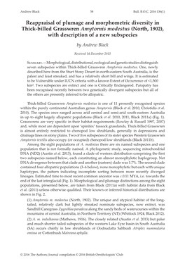 Reappraisal of Plumage and Morphometric Diversity in Thick-Billed Grasswren Amytornis Modestus (North, 1902), with Description of a New Subspecies