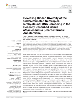 Revealing Hidden Diversity of the Underestimated Neotropical Ichthyofauna: DNA Barcoding in the Recently Described Genus Megaleporinus (Characiformes: Anostomidae)