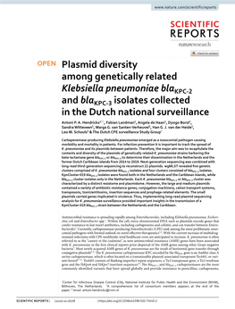 Plasmid Diversity Among Genetically Related Klebsiella Pneumoniae Blakpc‑2 and Blakpc‑3 Isolates Collected in the Dutch National Surveillance Antoni P