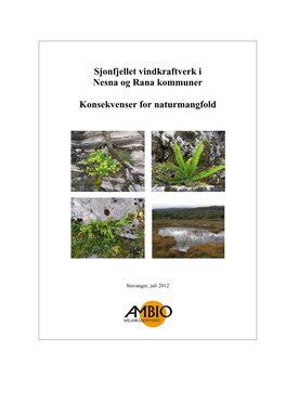 Naturmangfold Sjonfjellet Og Ledningstrase, 31 7