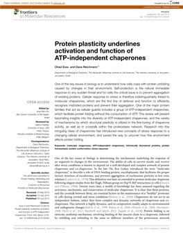 Protein Plasticity Underlines Activation and Function of ATP-Independent Chaperones