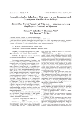 Azygophleps Brehmi Yakovlev Et Witt, Sp.N. — a New Carpenter-Moth (Lepidoptera, Cossidae) from Ethiopia