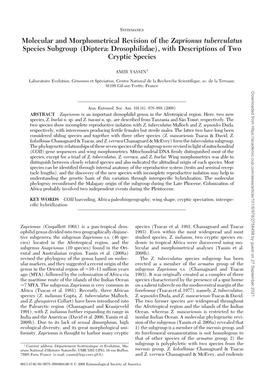 Molecular and Morphometrical Revision of the Zaprionus Tuberculatus Species Subgroup (Diptera: Drosophilidae), with Descriptions of Two Cryptic Species