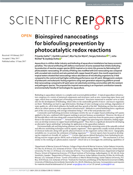 Bioinspired Nanocoatings for Biofouling Prevention By