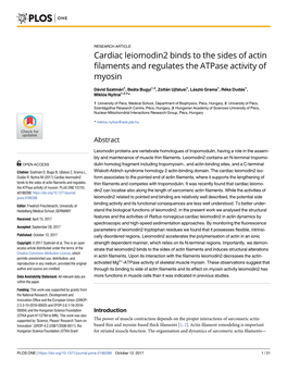 Cardiac Leiomodin2 Binds to the Sides of Actin Filaments and Regulates the Atpase Activity of Myosin