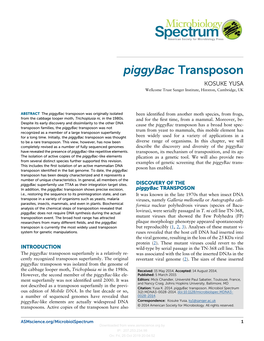 Piggybac Transposon KOSUKE YUSA Wellcome Trust Sanger Institute, Hinxton, Cambridge, UK