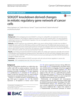 SOX2OT Knockdown Derived Changes in Mitotic Regulatory Gene Network