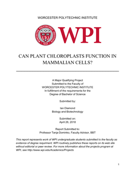 Can Plant Chloroplasts Function in Mammalian Cells? ______