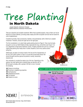 Tree Planting in North Dakota