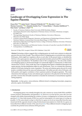 Landscape of Overlapping Gene Expression in the Equine Placenta