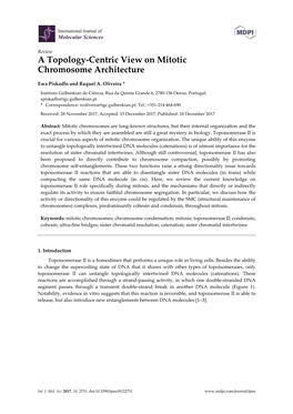 A Topology-Centric View on Mitotic Chromosome Architecture