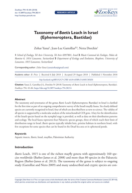 ﻿Taxonomy of Baetis Leach in Israel (Ephemeroptera, Baetidae)