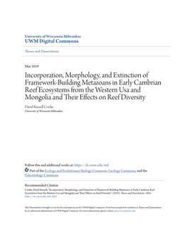 Incorporation, Morphology, and Extinction of Framework-Building