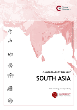 Risk Brief: South Asia