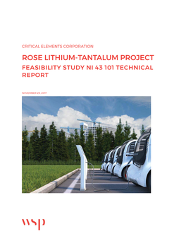 Rose Lithium-Tantalum Project Feasibility Study Ni 43 101 Technical Report