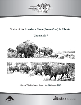 Bison Bison) in Alberta