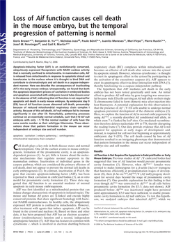 Loss of Aif Function Causes Cell Death in the Mouse Embryo, but the Temporal Progression of Patterning Is Normal