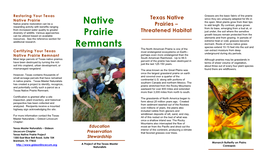 Restoring Your Texas Native Prairie