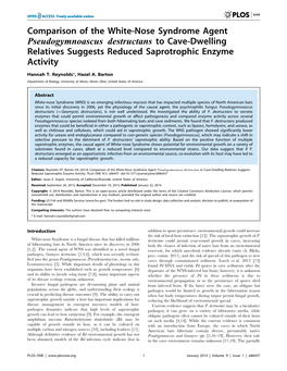 Destructans to Cave-Dwelling Relatives Suggests Reduced Saprotrophic Enzyme Activity