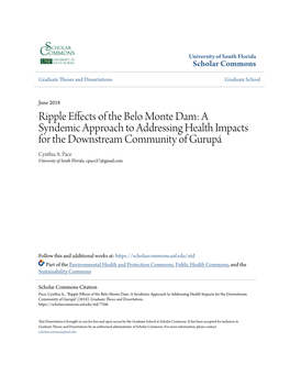 Ripple Effects of the Belo Monte Dam: a Syndemic Approach to Addressing Health Impacts for the Downstream Community of Gurupá Cynthia A