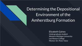 Determining the Depositional Environment of the Amherstburg Formation