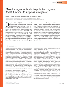 DNA Damage-Specific Deubiquitination Regulates Rad18 Functions to Suppress Mutagenesis