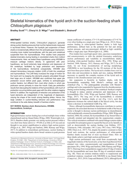 Skeletal Kinematics of the Hyoid Arch in the Suction-Feeding Shark Chiloscyllium Plagiosum Bradley Scott1,2,*, Cheryl A