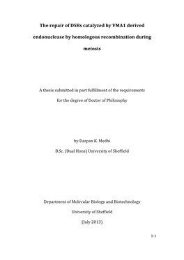 The Repair of Dsbs Catalyzed by VMA1 Derived Endonuclease By