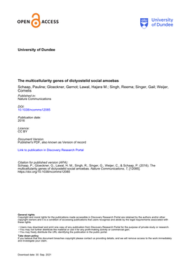 The Multicellularity Genes of Dictyostelid Social Amoebas