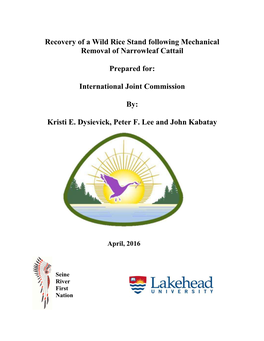 Recovery of a Wild Rice Stand Following Mechanical Removal of Narrowleaf Cattail