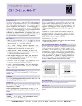 Datasheet Blank Template