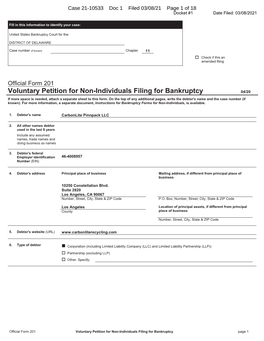 Chapter 11 Voluntary Petition for Carbonlite Pinnpack