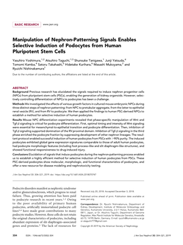 Manipulation of Nephron-Patterning Signals Enables Selective Induction of Podocytes from Human Pluripotent Stem Cells