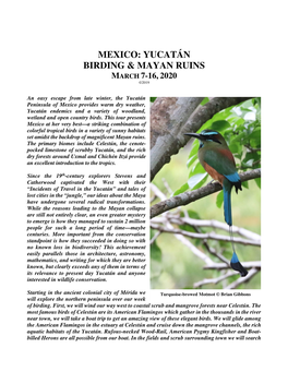 Mexico: Yucatán Birding & Mayan Ruins