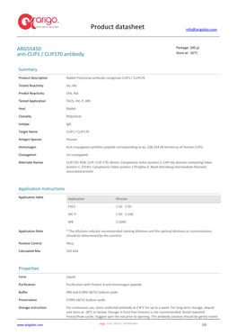 Anti-CLIP1 / CLIP170 Antibody (ARG55450)