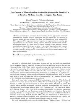 Egg Capsule of Phymorhynchus Buccinoides (Gastropoda: Turridae) in a Deep-Sea Methane Seep Site in Sagami Bay, Japan