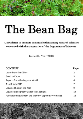 Bean Bag Newsletter Issue 65.Pdf