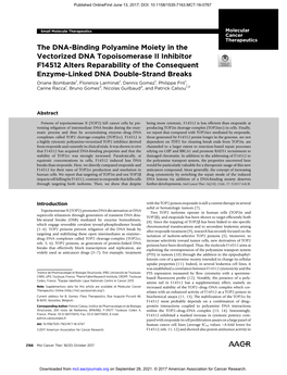 The DNA-Binding Polyamine Moiety in the Vectorized DNA