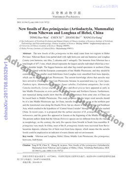 New Fossils of Bos Primigenius (Artiodactyla, Mammalia)